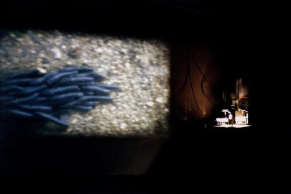 Sem título, instalação com filmes s-8, Galeria Cândido Portinari, UERJ, 1999 - foto de Wilton Montenegro