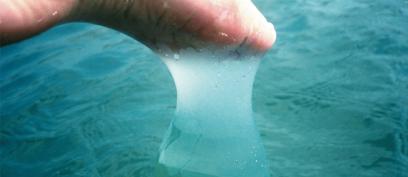 Janaina Tschpe, Pao das Artes, So Paulo, 2006