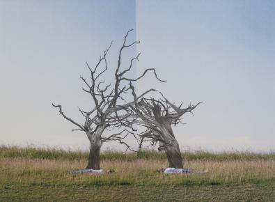 Duas árvores mortas / Two dead trees 2013 - desenho de grafite sobre fotografia impressa em papel de algodão / graphite drawing on photograph printed on cotton paper - dimensão / dimension 45x65 cm