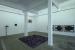 Montez Magno, Museu de Nanoesculturas, 2010