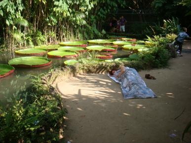 Novos Corredores Culturais - Ao nos jardins do Museu Goeldi, Belm PA, 2012