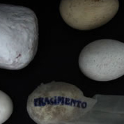 A Existência Ferina - A Matéria e a Vida - Dione Veiga Vieira